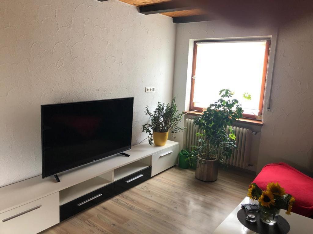 Ferienwohnung Zur Sonnenterasse In Gersbach Schopfheim Exterior photo